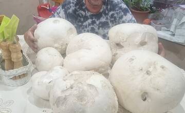 FOTO: Hubári sa v Banskobystrickom kraji tešia z početných zberov