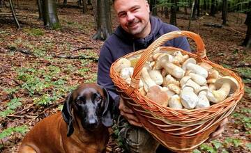 FOTO: Hubári sa v Banskobystrickom kraji tešia z početných zberov