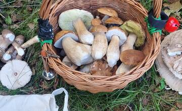 FOTO: Hubári sa v Banskobystrickom kraji tešia z početných zberov