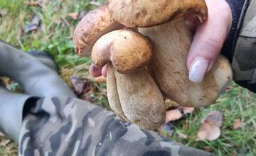 FOTO: Hubári sa v Banskobystrickom kraji tešia z početných zberov