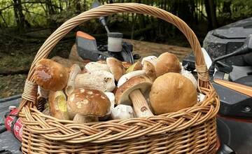 FOTO: Hubári sa v Banskobystrickom kraji tešia z početných zberov