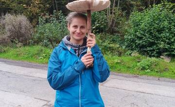 FOTO: Hubárske úspechy na strednom Slovensku - Plný fúrik a bedľa veľká ako dáždnik