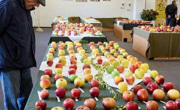 FOTO: Zatváranie Bánoša sa spojilo s Krajskými dožinkami