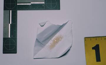 FOTO: Bystričana v podmienke vzala polícia do väzby