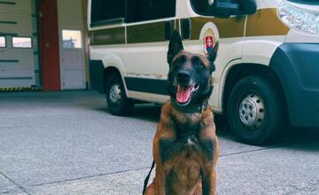 FOTO: Banskobystrickí gymnazisti skončili vo väzení aj napriek tomu, že nič neurobili