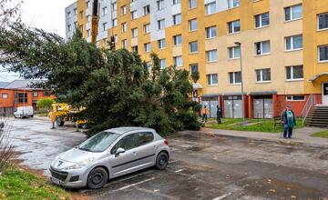 FOTO: Pozrite si, ako sa dostal stromček aj na námestie v Žiari nad Hronom