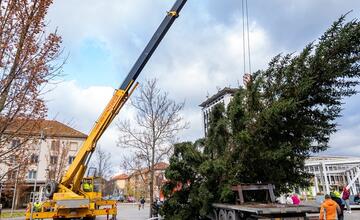 FOTO: Pozrite si, ako sa dostal stromček aj na námestie v Žiari nad Hronom