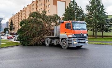 FOTO: Pozrite si, ako sa dostal stromček aj na námestie v Žiari nad Hronom