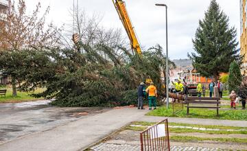 FOTO: Pozrite si, ako sa dostal stromček aj na námestie v Žiari nad Hronom