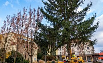 FOTO: Pozrite si, ako sa dostal stromček aj na námestie v Žiari nad Hronom