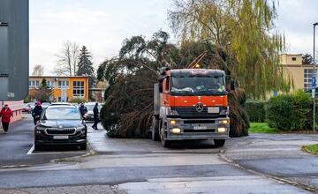 FOTO: Pozrite si, ako sa dostal stromček aj na námestie v Žiari nad Hronom