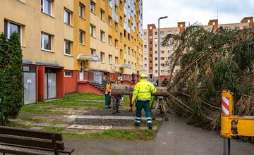 FOTO: Pozrite si, ako sa dostal stromček aj na námestie v Žiari nad Hronom