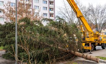 FOTO: Pozrite si, ako sa dostal stromček aj na námestie v Žiari nad Hronom