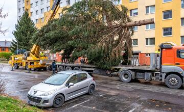 FOTO: Pozrite si, ako sa dostal stromček aj na námestie v Žiari nad Hronom
