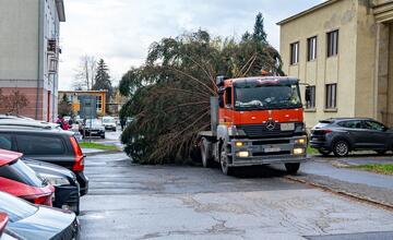 FOTO: Pozrite si, ako sa dostal stromček aj na námestie v Žiari nad Hronom