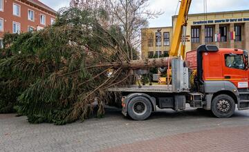 FOTO: Pozrite si, ako sa dostal stromček aj na námestie v Žiari nad Hronom