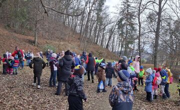 FOTO: Deti pomohli s príkrmom lesnej zveri