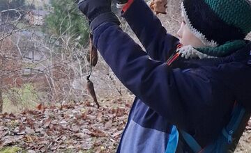 FOTO: Deti pomohli s príkrmom lesnej zveri