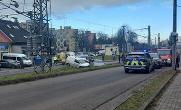 FOTO: Deti pomohli s príkrmom lesnej zveri