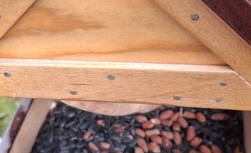 FOTO: Deti pomohli s príkrmom lesnej zveri