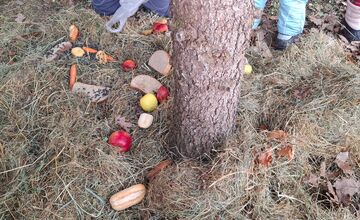 FOTO: Deti pomohli s príkrmom lesnej zveri