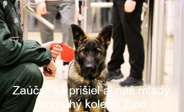 FOTO: FOTO: Derby medzi Banskou Bystricou a Zvolenom očami polície