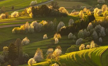 FOTO: Fotograf Daniel zachytáva čarovné chvíle Banskej Štiavnice. Hmla a svetlo tvoria v jeho tvorbe magické scenérie