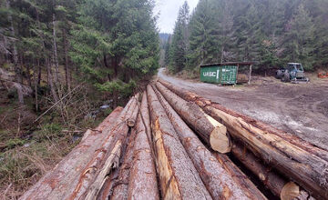 FOTO: Ťažba dreva ničí vzácne územie v Nízkych Tatrách