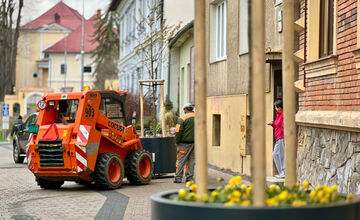FOTO: Lazovná ulica v Bystrici bude zelenšia, mesto do nej investuje 14-tisíc eur