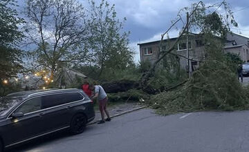 FOTO: Ikonický Hostinec Pod Vŕbou v Zvolene prišiel o svoju vŕbu