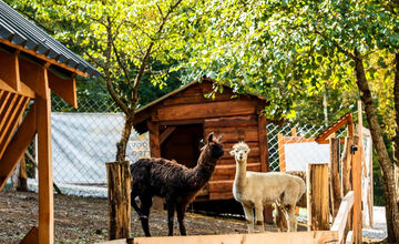 FOTO: Sysľovisko a Obrovisko v Muráni