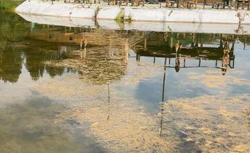 FOTO: Aktuálny stav kúpaliska v Banskej Bystrici