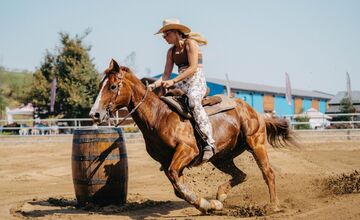 FOTO: Nestville Open Fest 2025