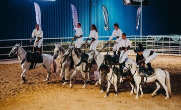 FOTO: Nestville Open Fest 2025