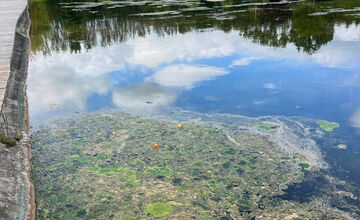 FOTO: Banská Bystrica opäť kontrolovala stav plážového kúpaliska. Vypočul nájomca všetky pripomienky?