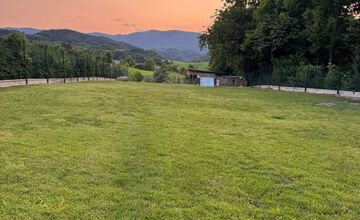 FOTO: Strieľa niekto v Bystrici po zvieratách? Jánov kocúr má takéto zranenie