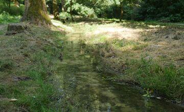 FOTO: Obnova potoka v Lučenci