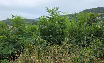 FOTO: Výhľad na Banskú Štiavnicu