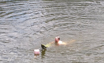 FOTO: V Banskej Belej už roky lovila krokodíla, ako to vyzeralo tento rok?