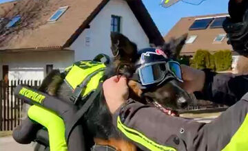 FOTO: Psíkovia na motorkách