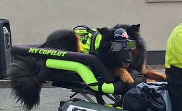 FOTO: Psíkovia na motorkách