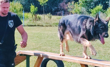 FOTO: Na Kováčovej súťažili psovodi, pozrite si, ako dopadli majstrovstvá kraja v klasickej kynológii