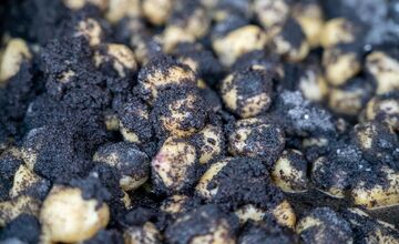 FOTO: Podujatia na najbližší víkend v Banskobystrickom kraji