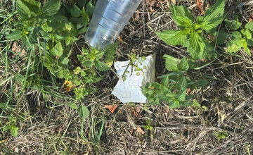 FOTO: Na Pustom hrade zostali po národnom výstupe odpadky 