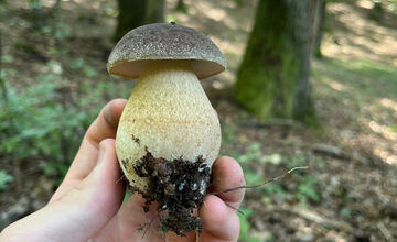 FOTO: Hubári z Banskobystrického kraja sa chvália svojimi úlovkami