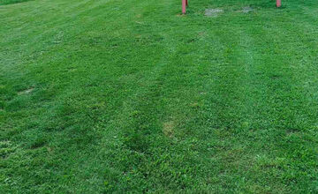 FOTO: Na jednom sídlisku vo Zvolene je pokosené, na inom vysoká tráva. Prečo?