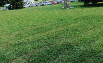 FOTO: Na jednom sídlisku vo Zvolene je pokosené, na inom vysoká tráva. Prečo?