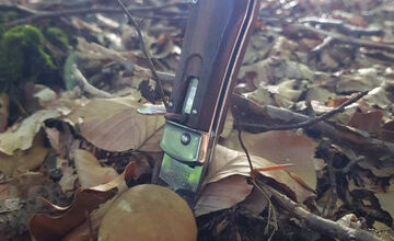 FOTO: S dubákmi sa roztrhlo vrece už aj na Horehroní