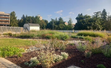FOTO: Zvolenčania sa opäť môžu poprechádzať po zelenej streche na stanici