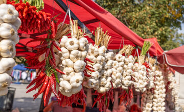 FOTO: Chystáte sa na Zvolenský jarmok? Vieme, na čo všetko sa môžete tešiť